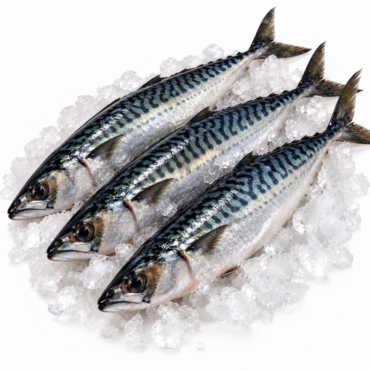 Whole Mackerel / Joeys (3 PER PACK)