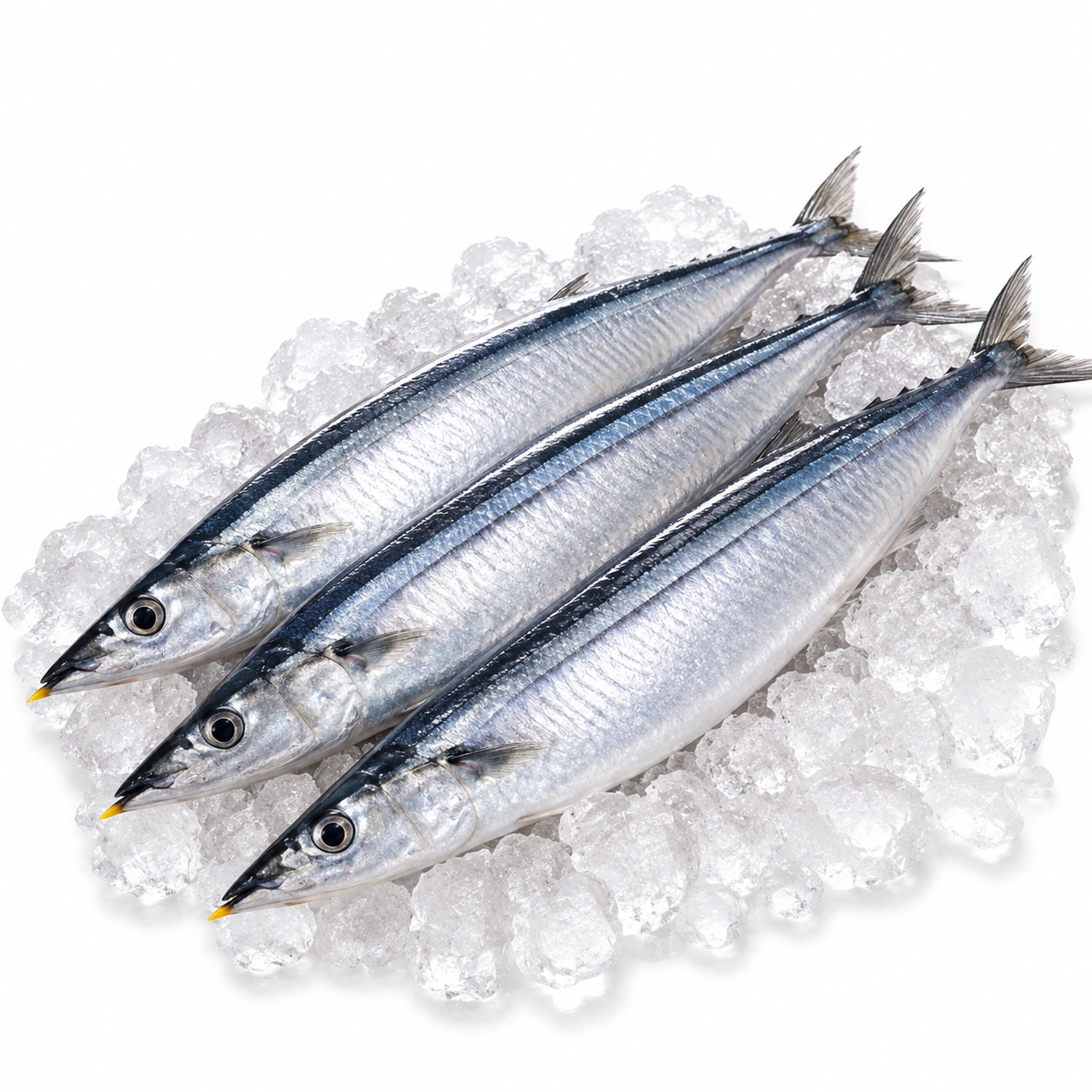 Whole Bluey / Saury