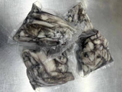 Frozen unwashed squid, whole and vacuum-packed for sea fishing bait.