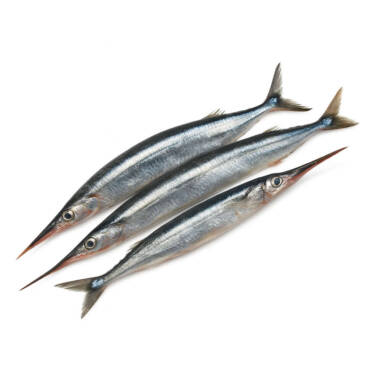 Half Beaks