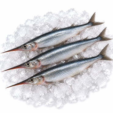 Half Beaks