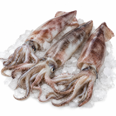 Original Unwashed Squid