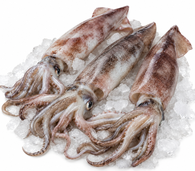 Original Unwashed Squid