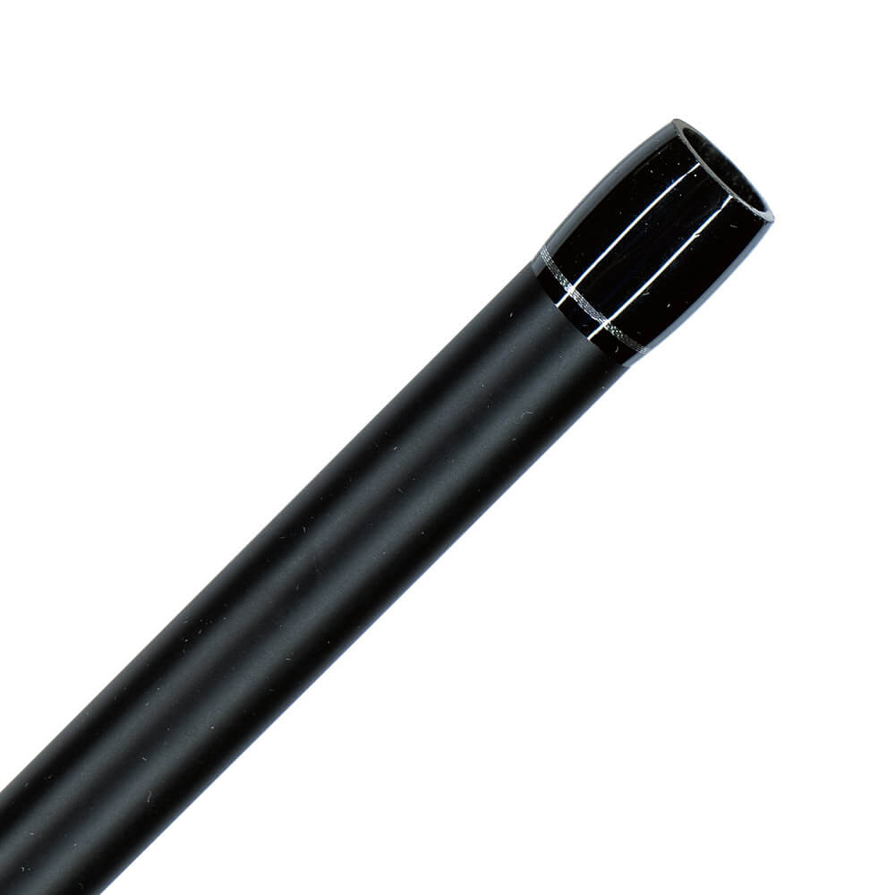 Pegasus Beach & Pier | 3.00m | 10 | 85-170g | 3-6oz - Image 3