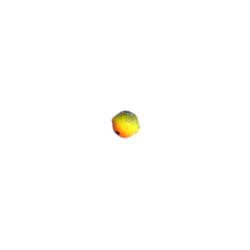 Pop-Up | 8mm | Flamer