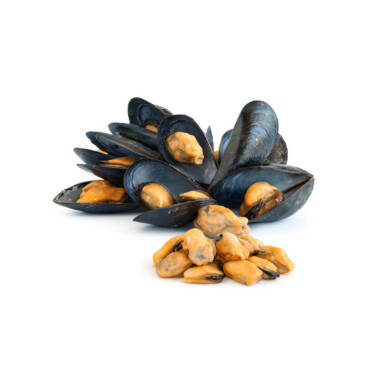 Unwashed Mussel