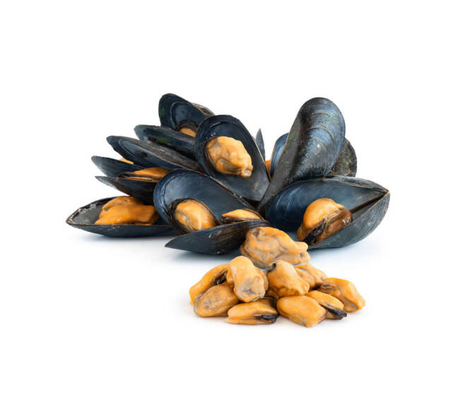 Unwashed Mussel