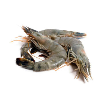 King Prawn