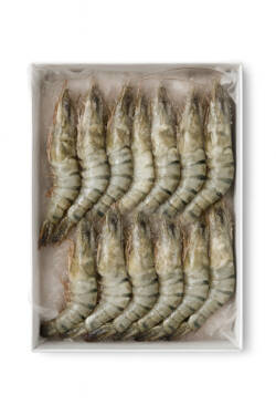 King Prawn Box