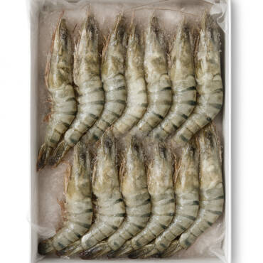 King Prawn Box