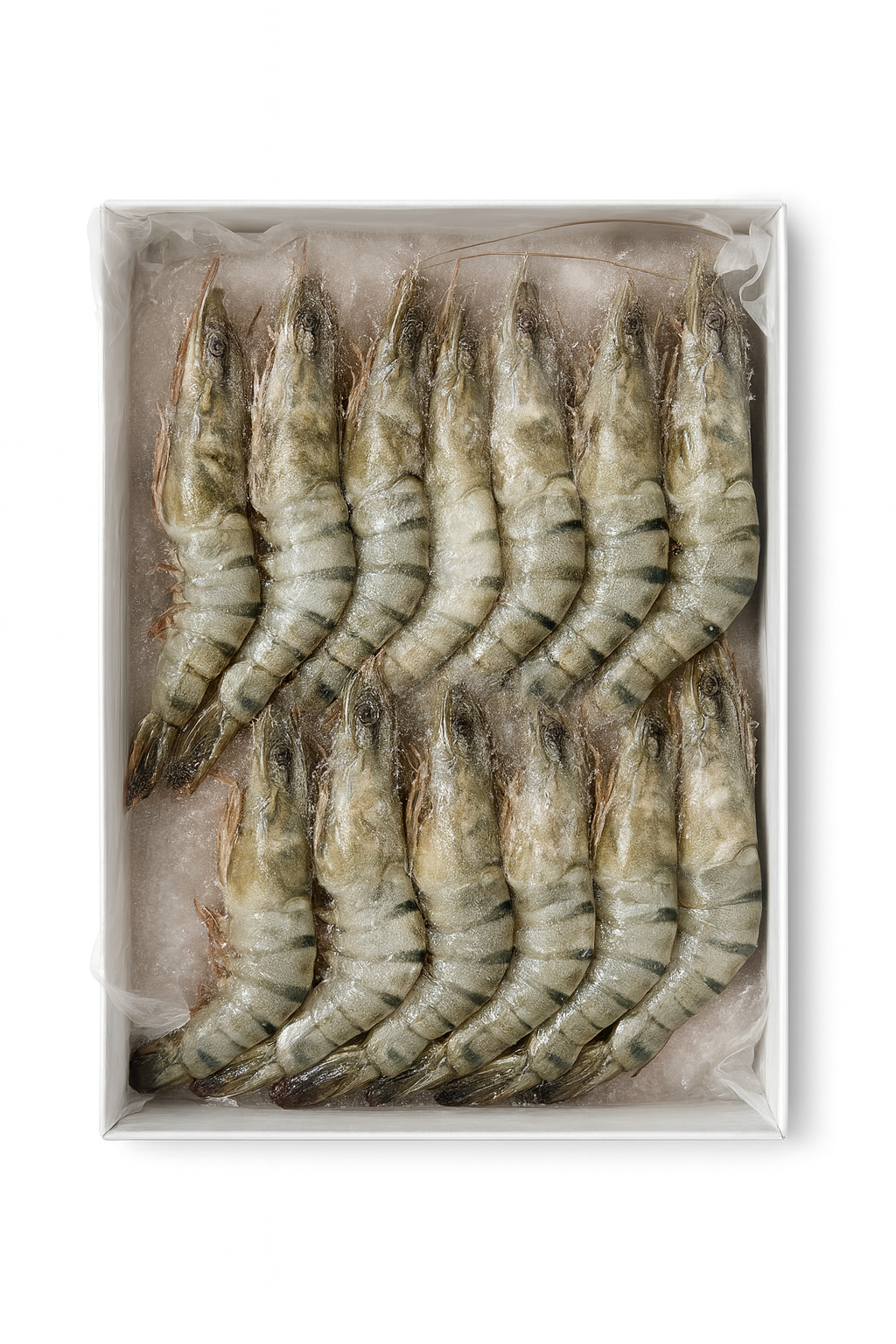 King Prawn Box