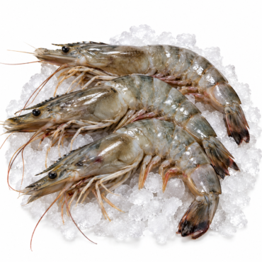 King Prawn