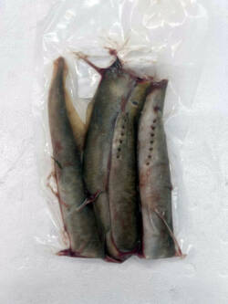 Frozen Lampreys