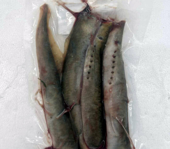 Frozen Lampreys
