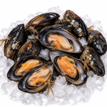 Unwashed Mussel