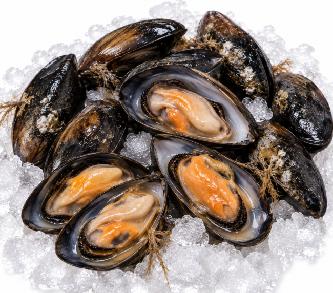 Unwashed Mussel