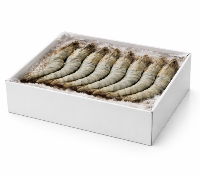 King Prawn Box