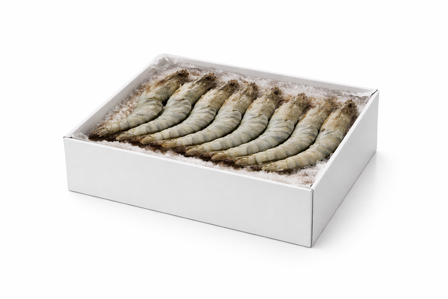 King Prawn Box