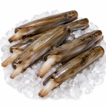 Unwashed Razor Clam