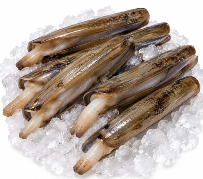 Unwashed Razor Clam