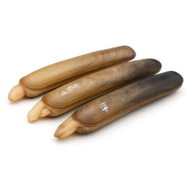 Unwashed Razor Clam