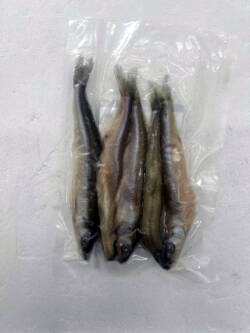 Frozen Smelts