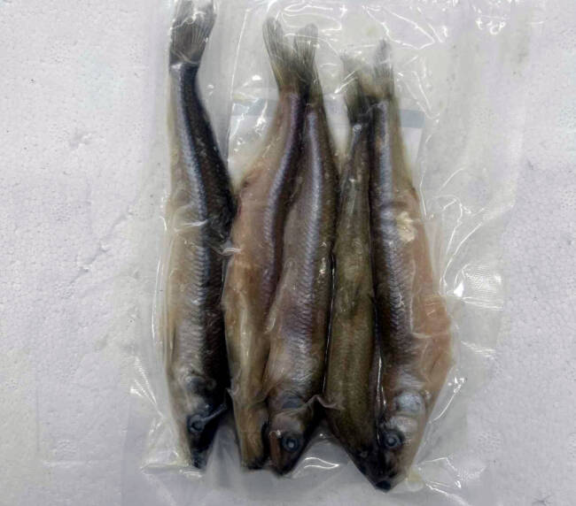 Frozen Smelts