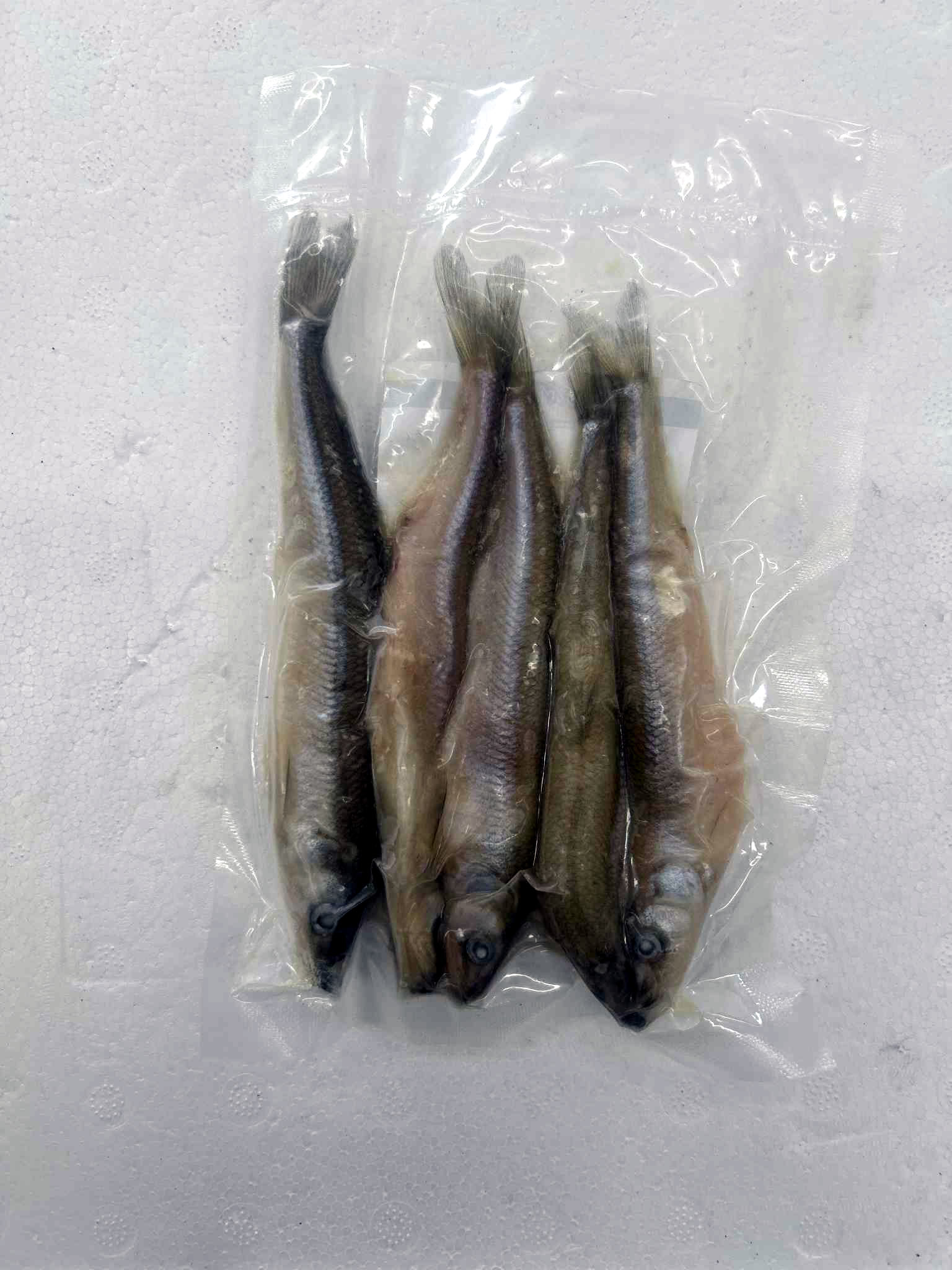 Frozen Smelts