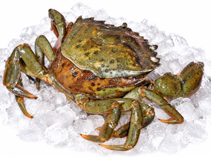 Frozen Peeler Crab