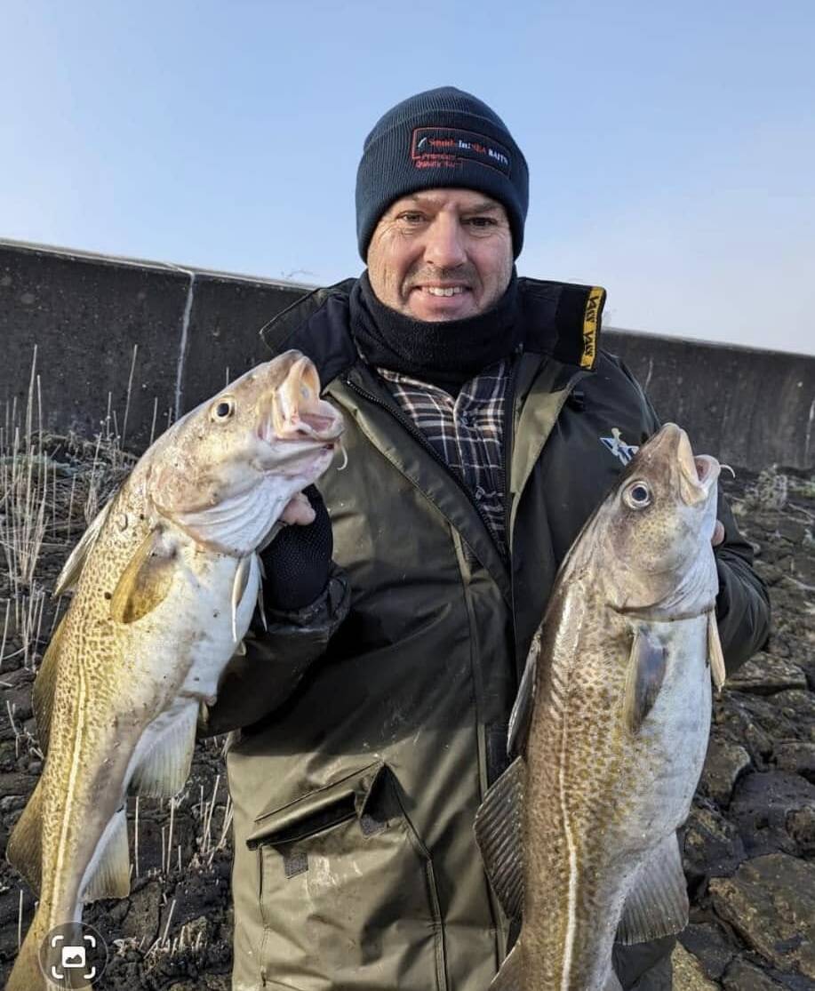 Atlantic cod